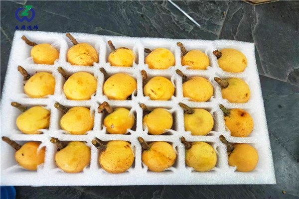 淺聊珍珠棉水果托使用壽命久嗎？